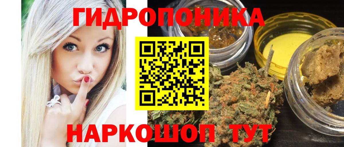 Бошки марихуана Bruce Banner  МАРИХУАНА ГИДРОПОН  Кудымкар  Вход с VPN  Марихуана ГИДРОПОН  Бошки марихуана сатива 